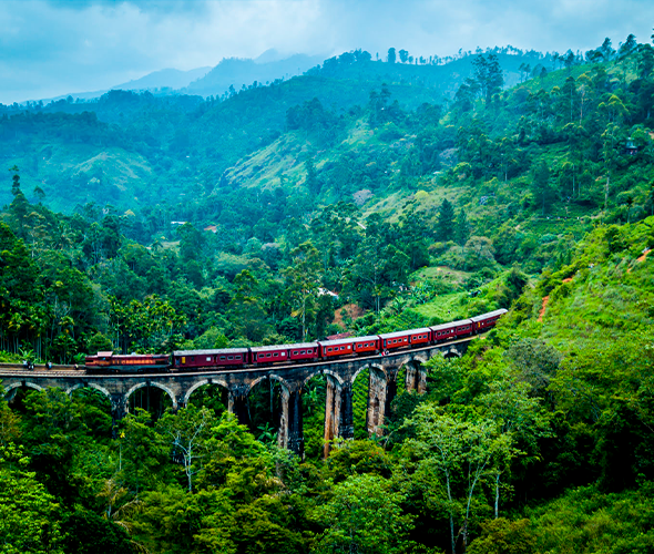 Sri Lanka — travel photo 4