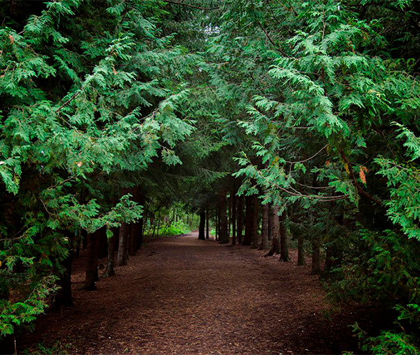 Dendropark, Armenia: photo 2
