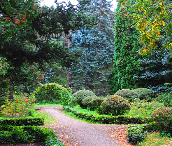 Dendropark, Armenia: photo 3