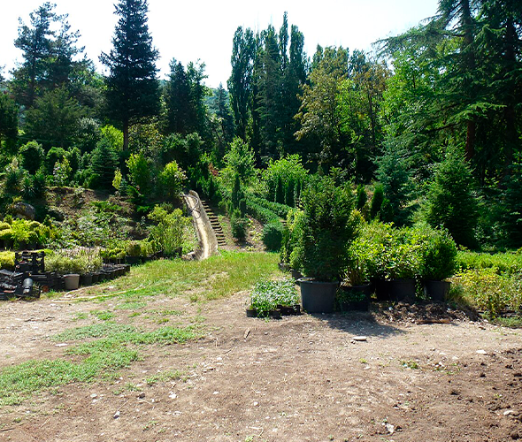 Dendropark di Ijevan, Armenia