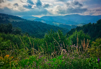 Ciudad de Dilijan, Armenia: foto 2