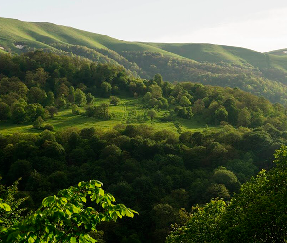 Parque Nacional de Dilijan, Armenia