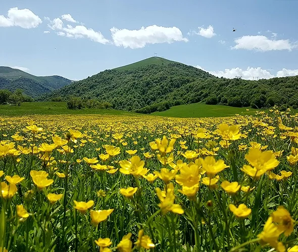 Park Narodowy Dilijan, Armenia: zdjęcie 2