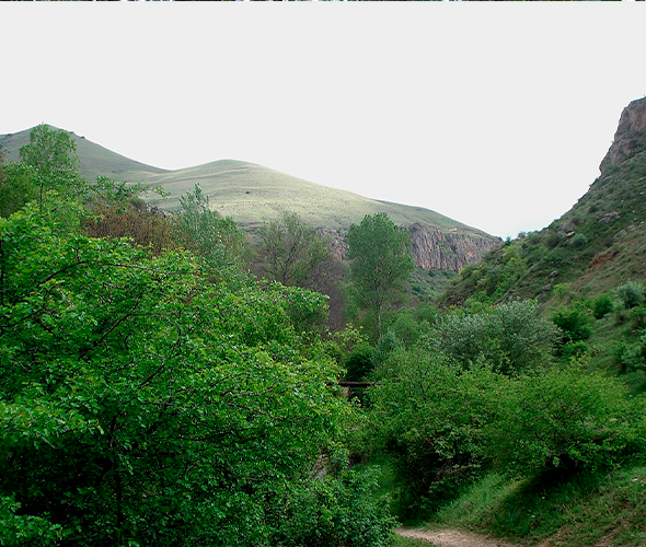 Reserva de Yeghegnadzor, Armenia