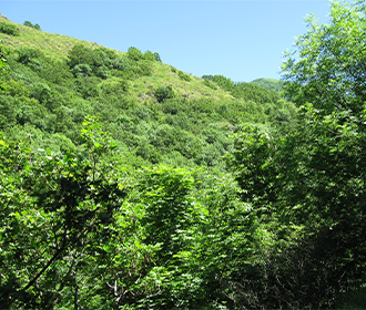 Yeghegnadzor Reserve, Armenia: photo 2