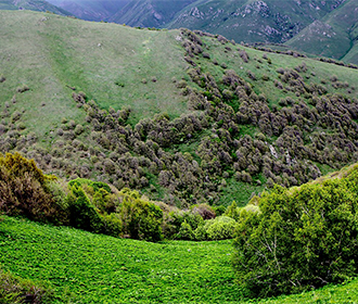Yeghegnadzor Reserve, Armenia: photo 3