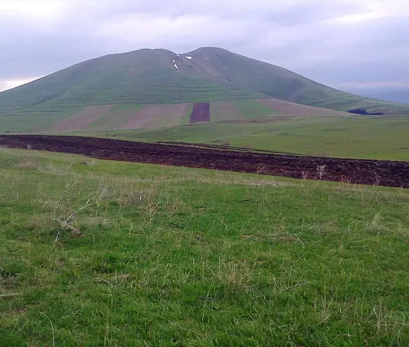 682ee0fdd1442-gutanasar1.webp