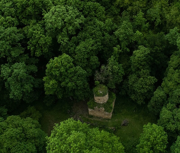 685a60c648823-aghavnavank.webp