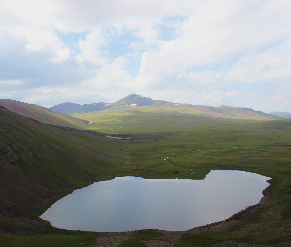 68788ab944ed0-image-590x500-1.jpg