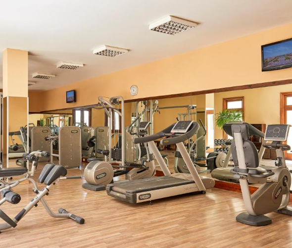 69dcfc7a6508f-image-590x500-2026-04-13t182249418.jpg