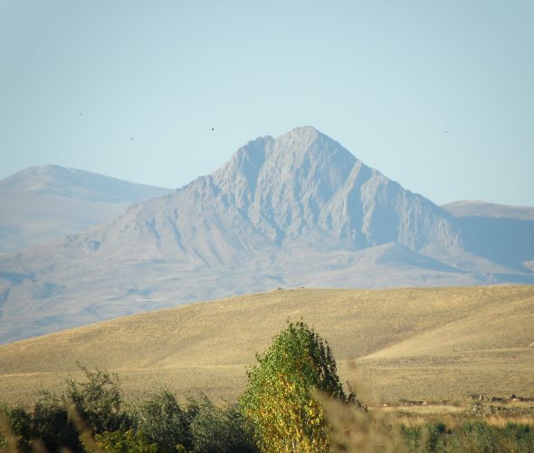 69f4b2d04d941-image-590x500-2026-05-01t180040705.jpg