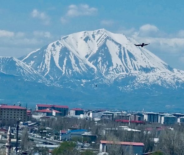 69f4b2d0ab517-image-590x500-2026-05-01t175945293.jpg