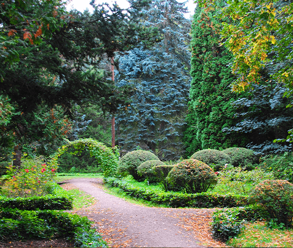 6a63411bf0a53-66e3f9e235428-dendrvopark.png