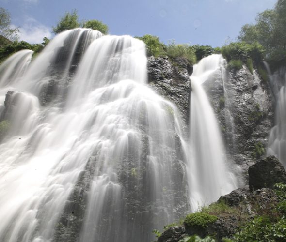 6a6865973a646-image-590x500-2026-07-28t121535889.jpg
