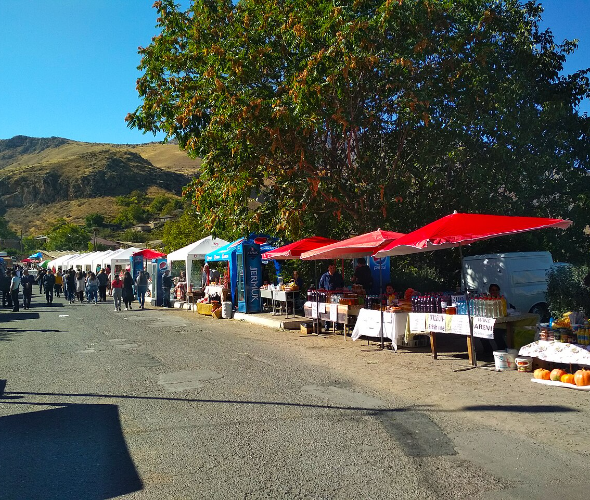 Festival del Vino di Areni: foto 7