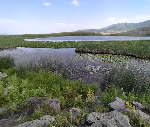 Waterflower Lake and Dorbantavank: photo 3