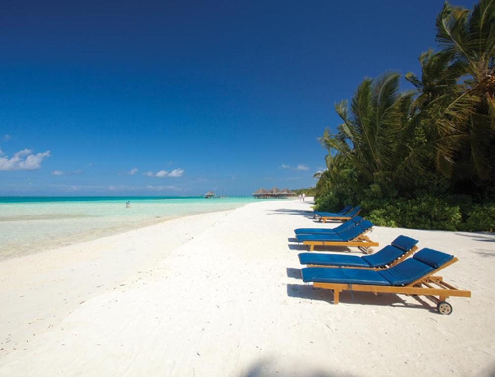 Maldives | Medhufushi Island Resort 4*: photo 5