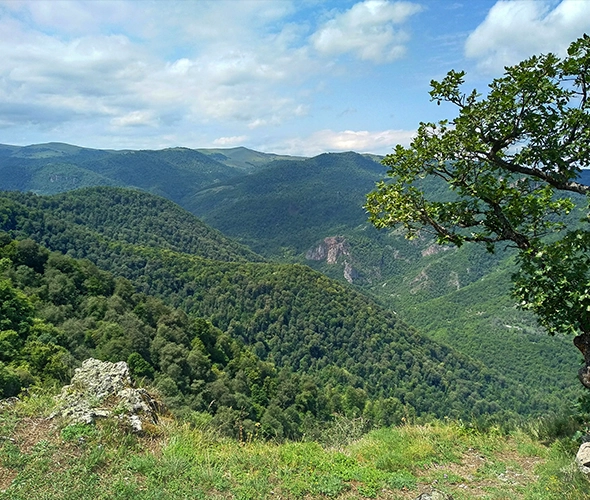 Un día en Tavush: foto 2