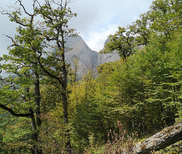 Three hawks trail: photo 4
