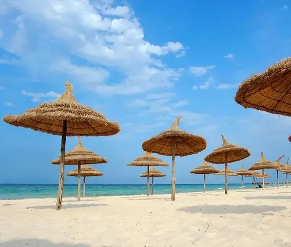 Թունիս | Golden Tulip President 4*՝ լուսանկար 3