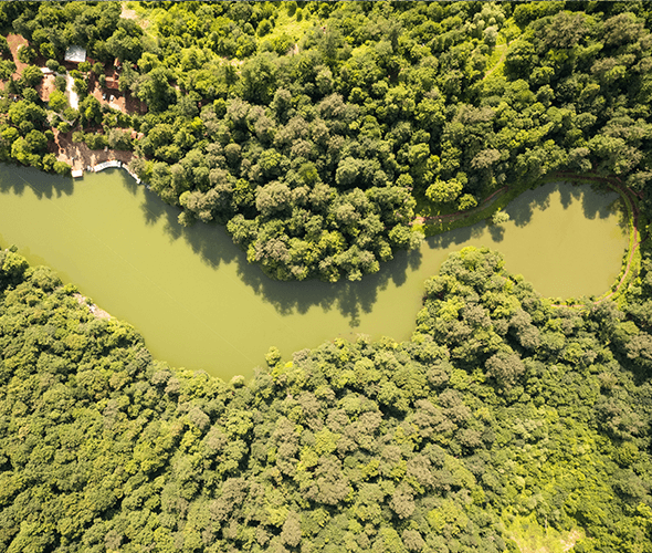 Parz lake
