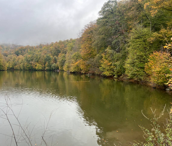 Ville de Dilijan, Goshavank et Haghartsin, lac Parz